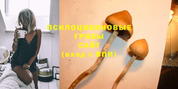 mdpv Иннополис