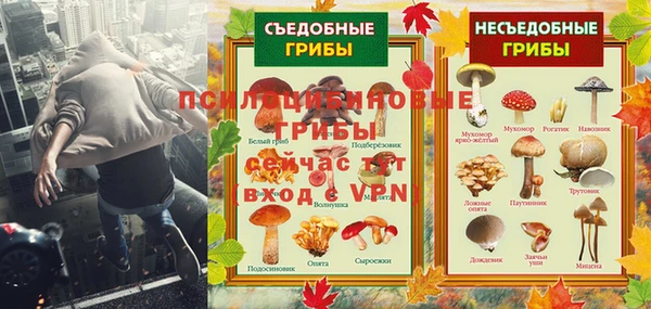 mdpv Иннополис