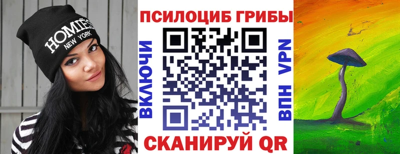 блэк спрут tor  Миллерово  Галлюциногенные грибы прущие грибы  наркотики 